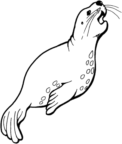 Sea Lion Is Singing Coloring Page